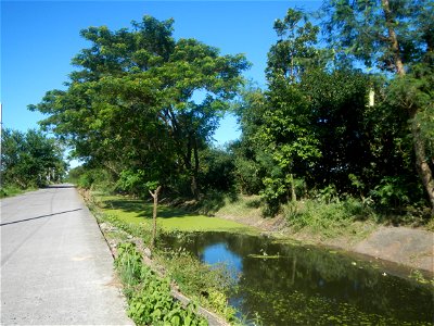 Paddy fields, grasslands, fishponds, irrigation canals, Kangkung (Ipomoea aquatica) and trees (Lapnit & Calasag, San Ildefonso, Bulacan Farm to Market Road) Villages and sitios of Calasag, San Ild