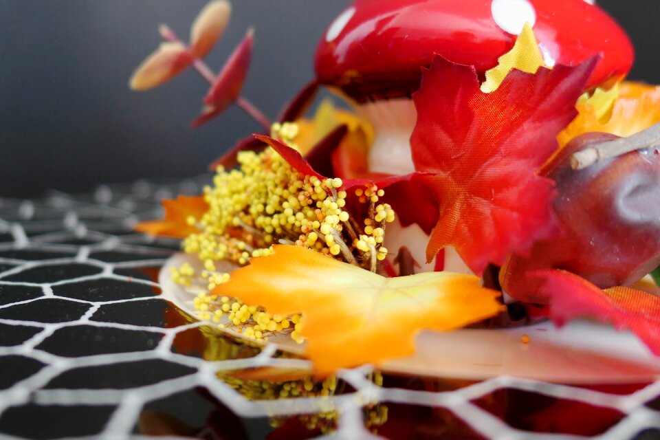 Autumn decoration decoration autumn motives