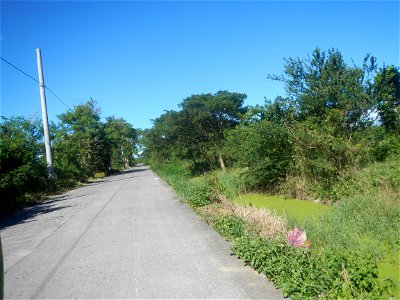 Paddy fields, grasslands, fishponds, irrigation canals, Kangkung (Ipomoea aquatica) and trees (Lapnit & Calasag, San Ildefonso, Bulacan Farm to Market Road) Villages and sitios of Calasag, San Ild