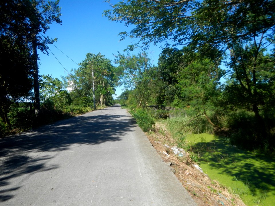 Paddy fields, grasslands, fishponds, irrigation canals, Kangkung (Ipomoea aquatica) and trees (Lapnit & Calasag, San Ildefonso, Bulacan Farm to Market Road) Villages and sitios of Calasag, San Ild