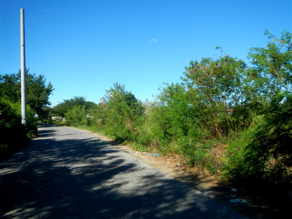 Paddy fields, grasslands, fishponds, irrigation canals, Kangkung (Ipomoea aquatica) and trees (Lapnit & Calasag, San Ildefonso, Bulacan Farm to Market Road) Villages and sitios of Calasag, San Ild
