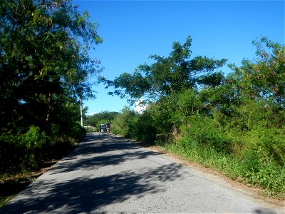 Paddy fields, grasslands, fishponds, irrigation canals, Kangkung (Ipomoea aquatica) and trees (Lapnit & Calasag, San Ildefonso, Bulacan Farm to Market Road) Villages and sitios of Calasag, San Ild