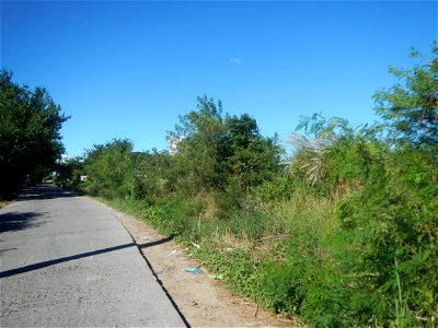 Paddy fields, grasslands, fishponds, irrigation canals, Kangkung (Ipomoea aquatica) and trees (Lapnit & Calasag, San Ildefonso, Bulacan Farm to Market Road) Villages and sitios of Calasag, San Ild