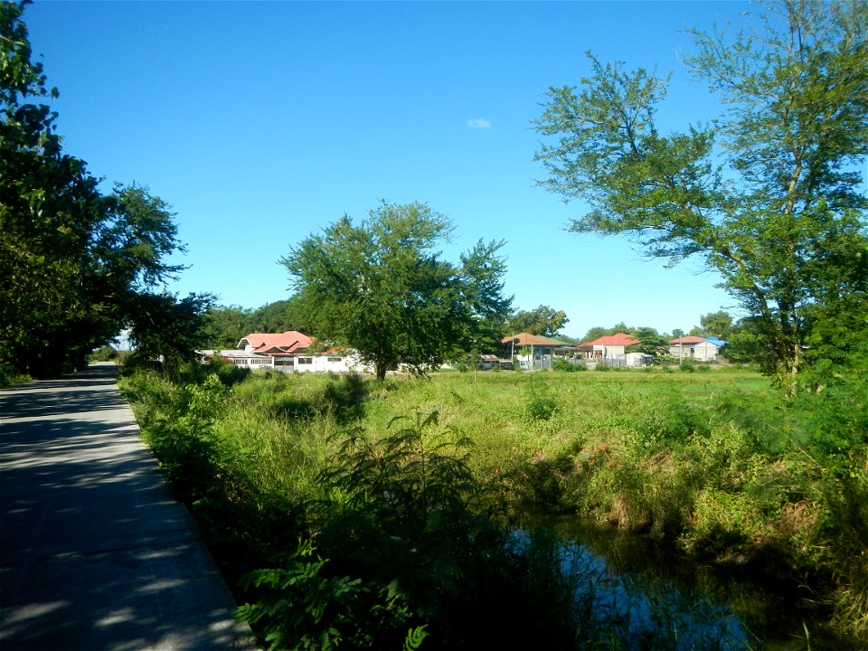 Paddy fields, grasslands, fishponds, irrigation canals, Kangkung (Ipomoea aquatica) and trees (Lapnit & Calasag, San Ildefonso, Bulacan Farm to Market Road) Villages and sitios of Calasag, San Ild