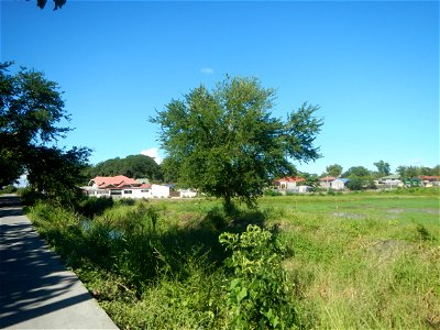 Paddy fields, grasslands, fishponds, irrigation canals, Kangkung (Ipomoea aquatica) and trees (Lapnit & Calasag, San Ildefonso, Bulacan Farm to Market Road) Villages and sitios of Calasag, San Ild