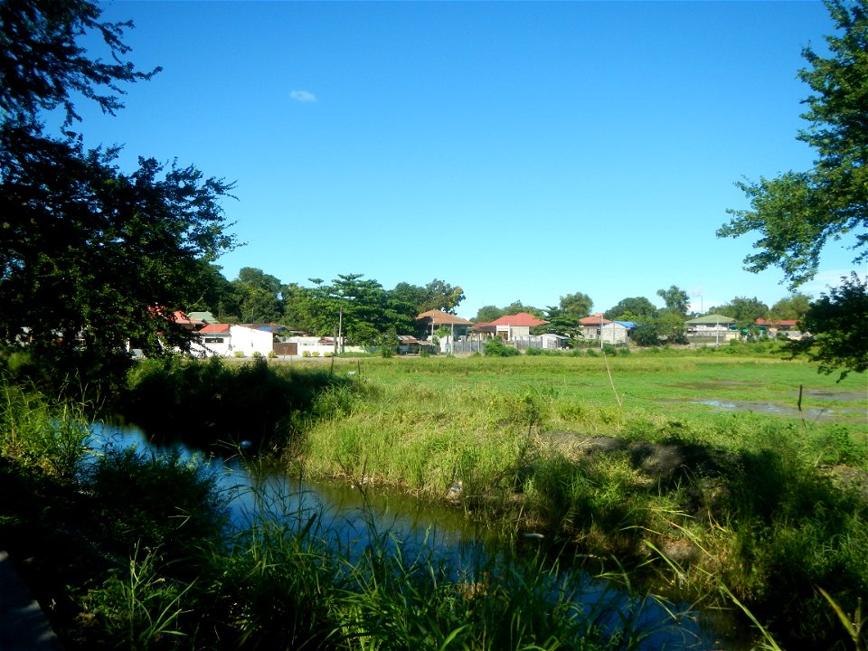 Paddy fields, grasslands, fishponds, irrigation canals, Kangkung (Ipomoea aquatica) and trees (Lapnit & Calasag, San Ildefonso, Bulacan Farm to Market Road) Villages and sitios of Calasag, San Ild