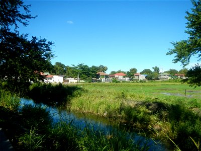 Paddy fields, grasslands, fishponds, irrigation canals, Kangkung (Ipomoea aquatica) and trees (Lapnit & Calasag, San Ildefonso, Bulacan Farm to Market Road) Villages and sitios of Calasag, San Ild