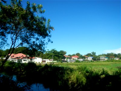 Paddy fields, grasslands, fishponds, irrigation canals, Kangkung (Ipomoea aquatica) and trees (Lapnit & Calasag, San Ildefonso, Bulacan Farm to Market Road) Villages and sitios of Calasag, San Ild