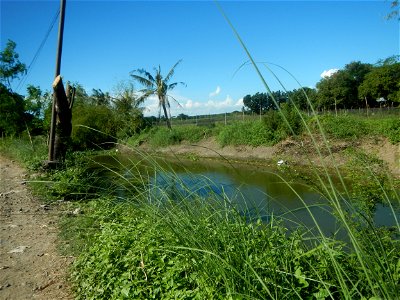 Paddy fields, grasslands, fishponds, irrigation canals, Kangkung (Ipomoea aquatica) and trees (Lapnit & Calasag, San Ildefonso, Bulacan Farm to Market Road) Villages and sitios of Calasag, San Ild