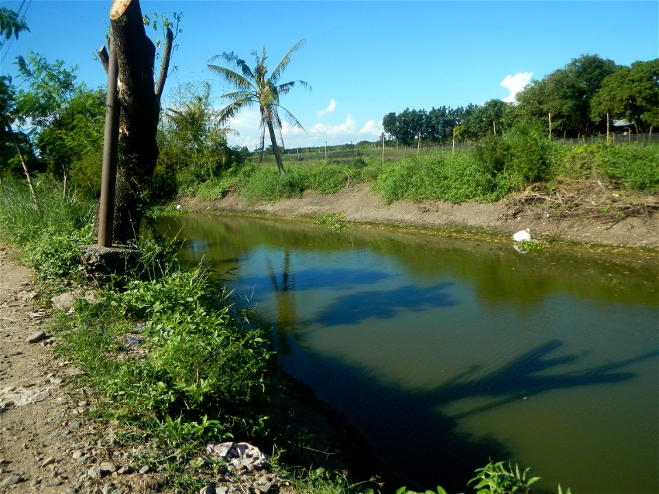 Paddy fields, grasslands, fishponds, irrigation canals, Kangkung (Ipomoea aquatica) and trees (Lapnit & Calasag, San Ildefonso, Bulacan Farm to Market Road) Villages and sitios of Calasag, San Ild