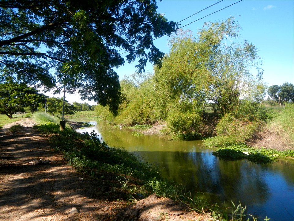 Paddy fields, grasslands, fishponds, irrigation canals, Kangkung (Ipomoea aquatica) and trees (Lapnit & Calasag, San Ildefonso, Bulacan Farm to Market Road) Villages and sitios of Calasag, San Ild