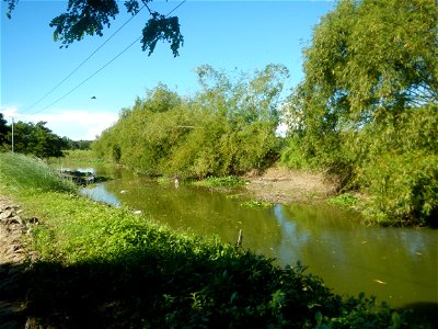 Paddy fields, grasslands, fishponds, irrigation canals, Kangkung (Ipomoea aquatica) and trees (Lapnit & Calasag, San Ildefonso, Bulacan Farm to Market Road) Villages and sitios of Calasag, San Ild
