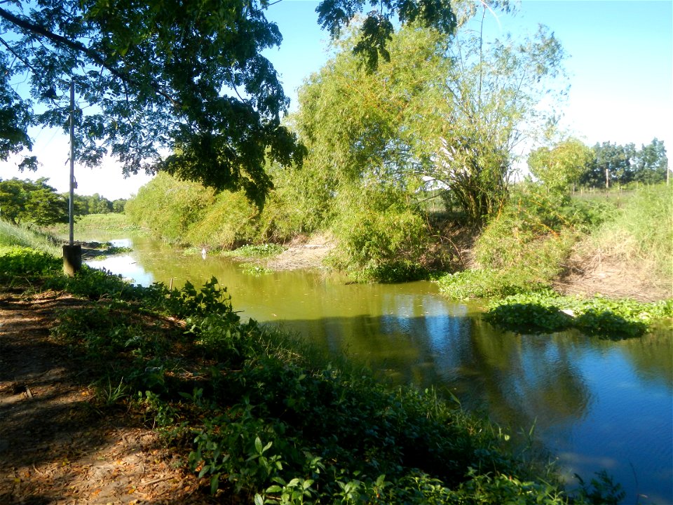 Paddy fields, grasslands, fishponds, irrigation canals, Kangkung (Ipomoea aquatica) and trees (Lapnit & Calasag, San Ildefonso, Bulacan Farm to Market Road) Villages and sitios of Calasag, San Ild