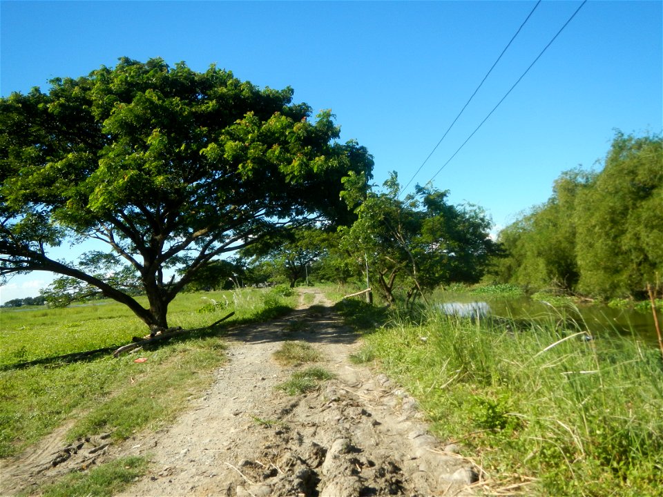 Paddy fields, grasslands, fishponds, irrigation canals, Kangkung (Ipomoea aquatica) and trees (Lapnit & Calasag, San Ildefonso, Bulacan Farm to Market Road) Villages and sitios of Calasag, San Ild
