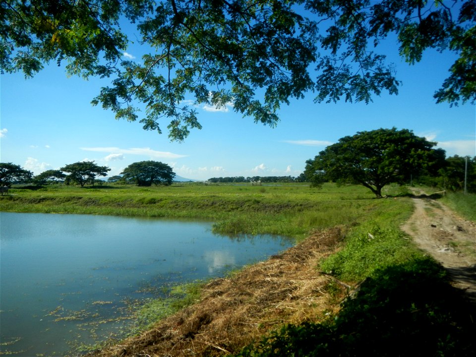 Paddy fields, grasslands, fishponds, irrigation canals, Kangkung (Ipomoea aquatica) and trees (Lapnit & Calasag, San Ildefonso, Bulacan Farm to Market Road) Villages and sitios of Calasag, San Ild