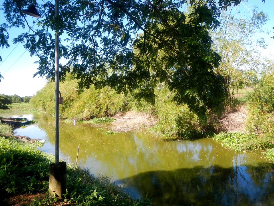 Paddy fields, grasslands, fishponds, irrigation canals, Kangkung (Ipomoea aquatica) and trees (Lapnit & Calasag, San Ildefonso, Bulacan Farm to Market Road) Villages and sitios of Calasag, San Ild
