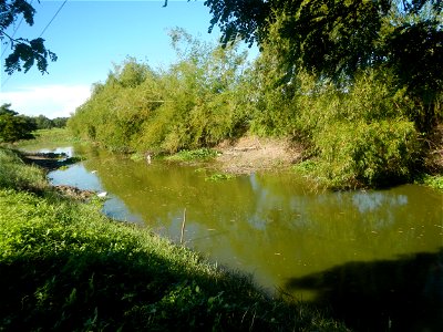 Paddy fields, grasslands, fishponds, irrigation canals, Kangkung (Ipomoea aquatica) and trees (Lapnit & Calasag, San Ildefonso, Bulacan Farm to Market Road) Villages and sitios of Calasag, San Ild