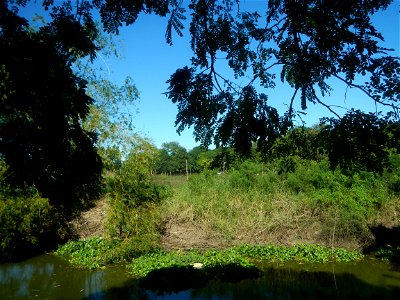 Paddy fields, grasslands, fishponds, irrigation canals, Kangkung (Ipomoea aquatica) and trees (Lapnit & Calasag, San Ildefonso, Bulacan Farm to Market Road) Villages and sitios of Calasag, San Ild