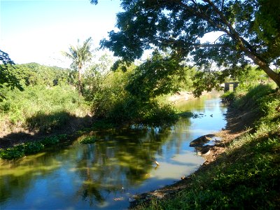 Paddy fields, grasslands, fishponds, irrigation canals, Kangkung (Ipomoea aquatica) and trees (Lapnit & Calasag, San Ildefonso, Bulacan Farm to Market Road) Villages and sitios of Calasag, San Ild