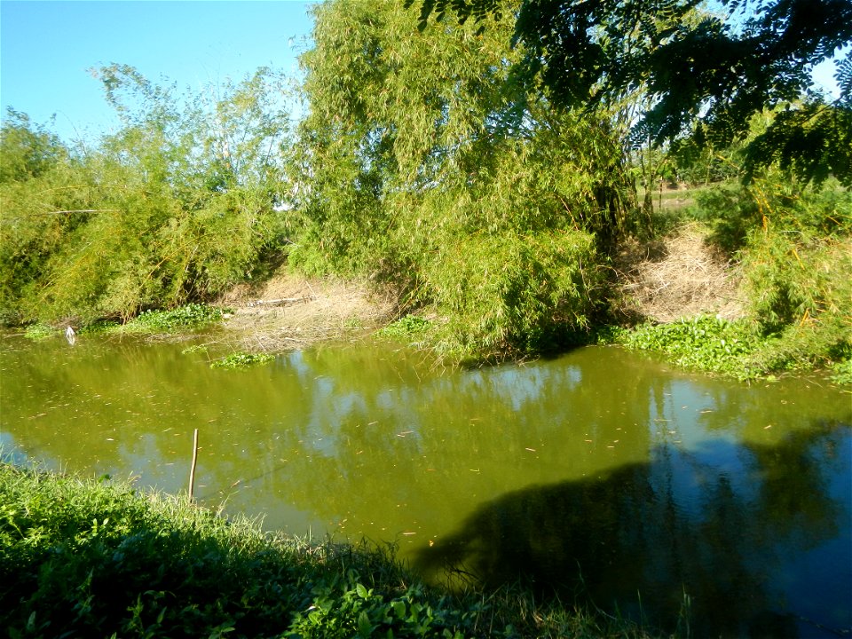 Paddy fields, grasslands, fishponds, irrigation canals, Kangkung (Ipomoea aquatica) and trees (Lapnit & Calasag, San Ildefonso, Bulacan Farm to Market Road) Villages and sitios of Calasag, San Ild