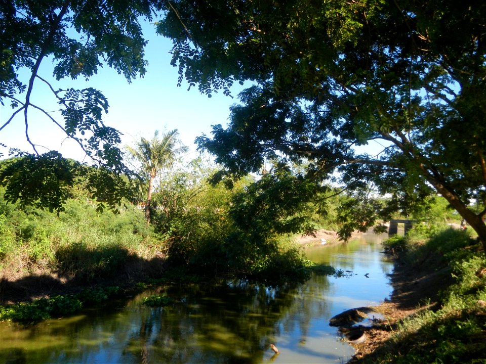 Paddy fields, grasslands, fishponds, irrigation canals, Kangkung (Ipomoea aquatica) and trees (Lapnit & Calasag, San Ildefonso, Bulacan Farm to Market Road) Villages and sitios of Calasag, San Ild