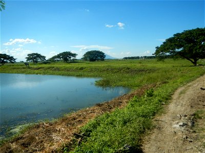 Paddy fields, grasslands, fishponds, irrigation canals, Kangkung (Ipomoea aquatica) and trees (Lapnit & Calasag, San Ildefonso, Bulacan Farm to Market Road) Villages and sitios of Calasag, San Ild