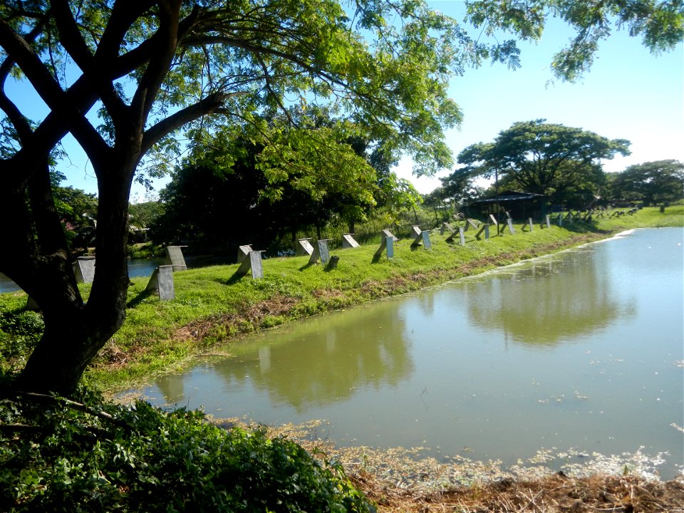Paddy fields, grasslands, fishponds, irrigation canals, Kangkung (Ipomoea aquatica) and trees (Lapnit & Calasag, San Ildefonso, Bulacan Farm to Market Road) Villages and sitios of Calasag, San Ild