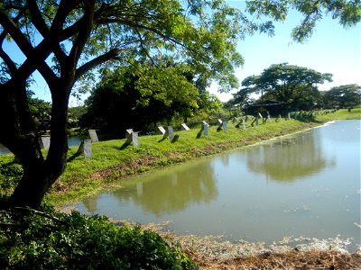 Paddy fields, grasslands, fishponds, irrigation canals, Kangkung (Ipomoea aquatica) and trees (Lapnit & Calasag, San Ildefonso, Bulacan Farm to Market Road) Villages and sitios of Calasag, San Ild