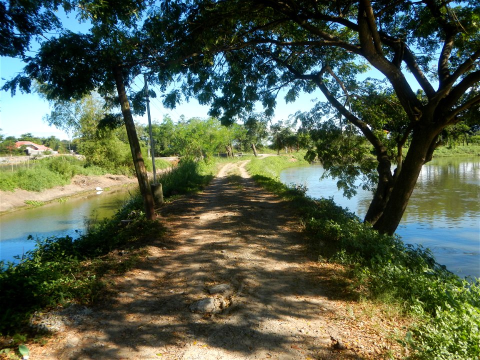 Paddy fields, grasslands, fishponds, irrigation canals, Kangkung (Ipomoea aquatica) and trees (Lapnit & Calasag, San Ildefonso, Bulacan Farm to Market Road) Villages and sitios of Calasag, San Ild
