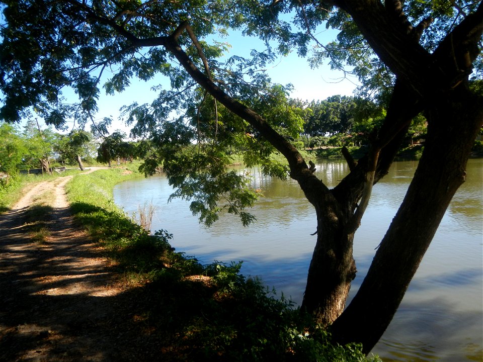 Paddy fields, grasslands, fishponds, irrigation canals, Kangkung (Ipomoea aquatica) and trees (Lapnit & Calasag, San Ildefonso, Bulacan Farm to Market Road) Villages and sitios of Calasag, San Ild