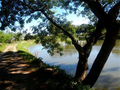 Paddy fields, grasslands, fishponds, irrigation canals, Kangkung (Ipomoea aquatica) and trees (Lapnit & Calasag, San Ildefonso, Bulacan Farm to Market Road) Villages and sitios of Calasag, San Ild