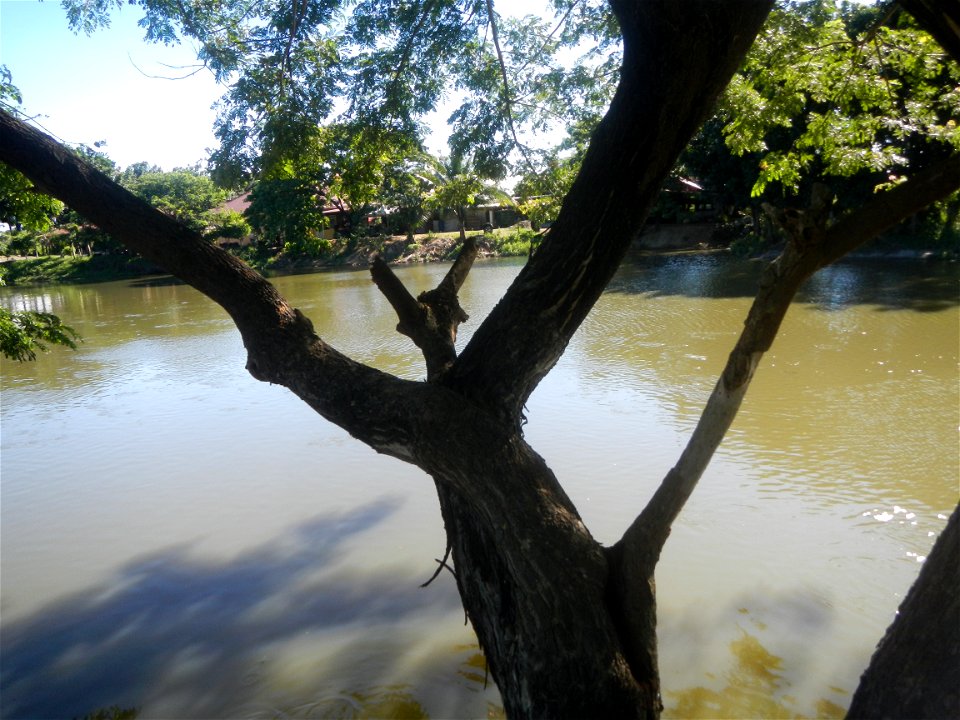 Paddy fields, grasslands, fishponds, irrigation canals, Kangkung (Ipomoea aquatica) and trees (Lapnit & Calasag, San Ildefonso, Bulacan Farm to Market Road) Villages and sitios of Calasag, San Ild
