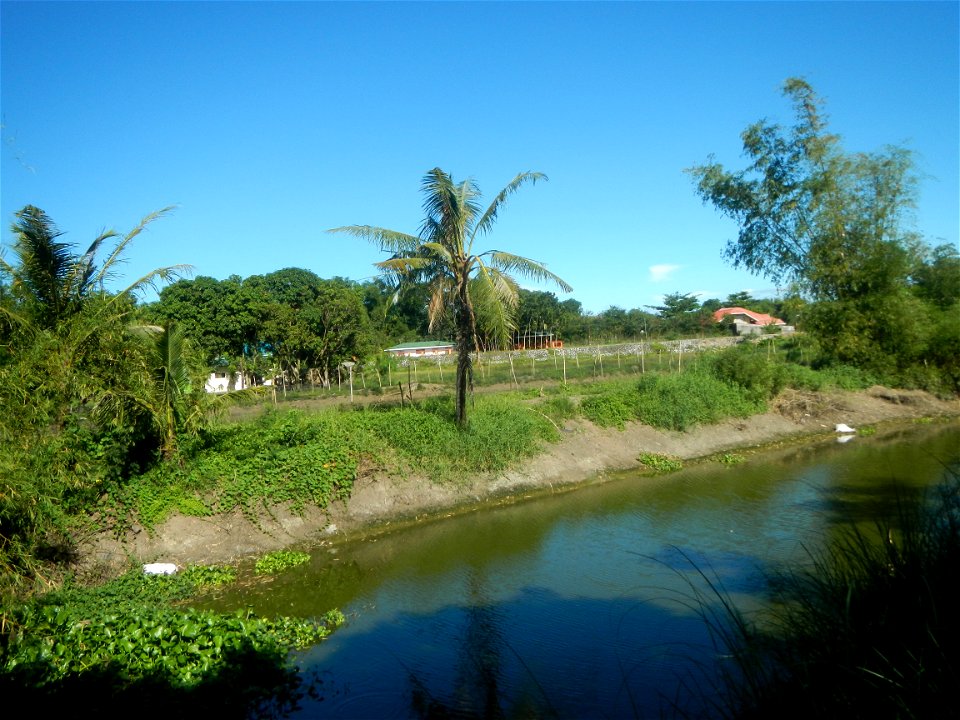 Paddy fields, grasslands, fishponds, irrigation canals, Kangkung (Ipomoea aquatica) and trees (Lapnit & Calasag, San Ildefonso, Bulacan Farm to Market Road) Villages and sitios of Calasag, San Ild