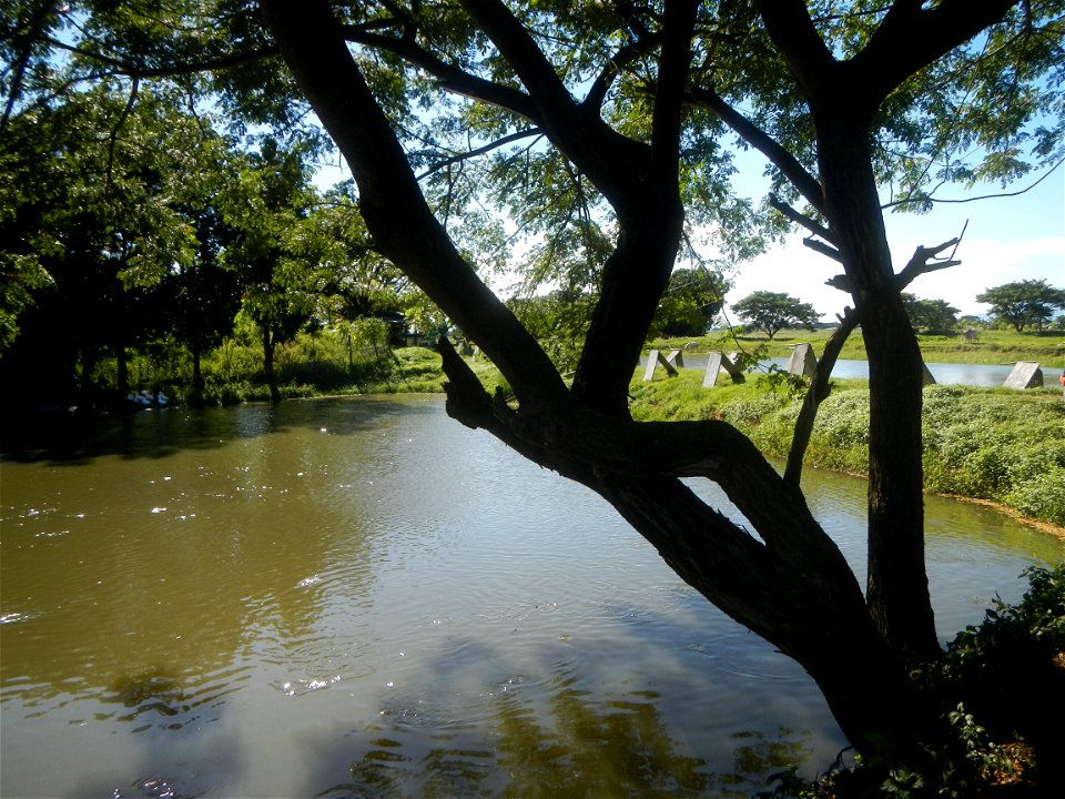 Paddy fields, grasslands, fishponds, irrigation canals, Kangkung (Ipomoea aquatica) and trees (Lapnit & Calasag, San Ildefonso, Bulacan Farm to Market Road) Villages and sitios of Calasag, San Ild