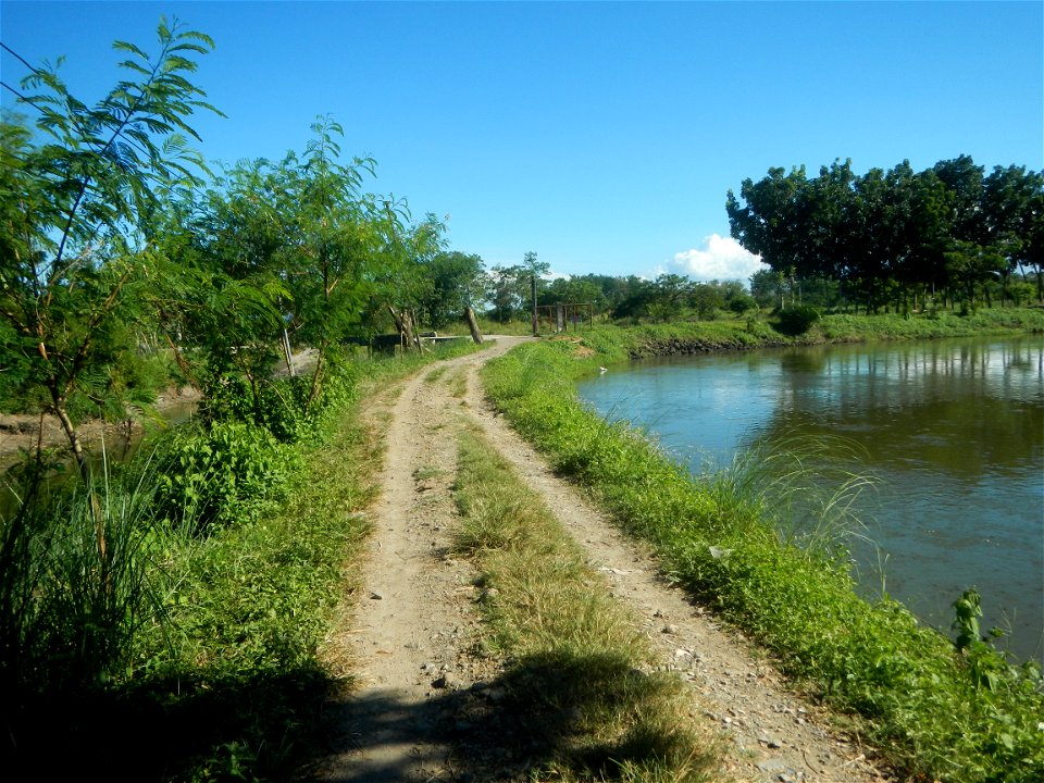 Paddy fields, grasslands, fishponds, irrigation canals, Kangkung (Ipomoea aquatica) and trees (Lapnit & Calasag, San Ildefonso, Bulacan Farm to Market Road) Villages and sitios of Calasag, San Ild