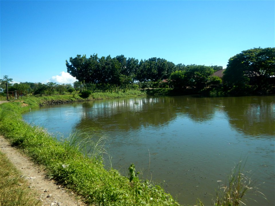 Paddy fields, grasslands, fishponds, irrigation canals, Kangkung (Ipomoea aquatica) and trees (Lapnit & Calasag, San Ildefonso, Bulacan Farm to Market Road) Villages and sitios of Calasag, San Ild