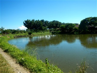 Paddy fields, grasslands, fishponds, irrigation canals, Kangkung (Ipomoea aquatica) and trees (Lapnit & Calasag, San Ildefonso, Bulacan Farm to Market Road) Villages and sitios of Calasag, San Ild