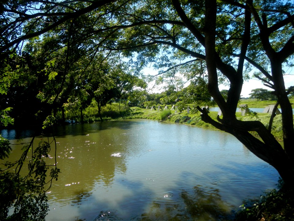 Paddy fields, grasslands, fishponds, irrigation canals, Kangkung (Ipomoea aquatica) and trees (Lapnit & Calasag, San Ildefonso, Bulacan Farm to Market Road) Villages and sitios of Calasag, San Ild