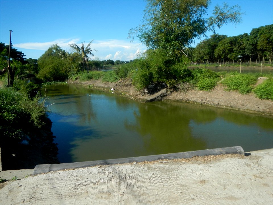 Paddy fields, grasslands, fishponds, irrigation canals, Kangkung (Ipomoea aquatica) and trees (Lapnit & Calasag, San Ildefonso, Bulacan Farm to Market Road) Villages and sitios of Calasag, San Ild