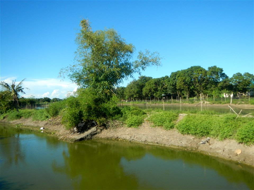 Paddy fields, grasslands, fishponds, irrigation canals, Kangkung (Ipomoea aquatica) and trees (Lapnit & Calasag, San Ildefonso, Bulacan Farm to Market Road) Villages and sitios of Calasag, San Ild