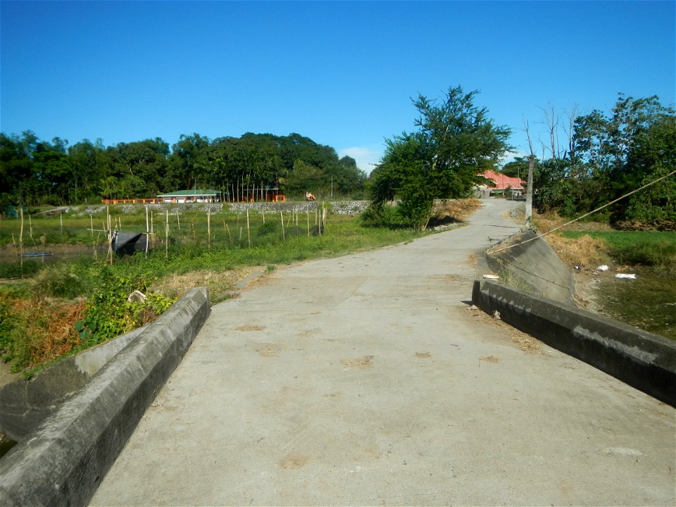 Paddy fields, grasslands, fishponds, irrigation canals, Kangkung (Ipomoea aquatica) and trees (Lapnit & Calasag, San Ildefonso, Bulacan Farm to Market Road) Villages and sitios of Calasag, San Ild