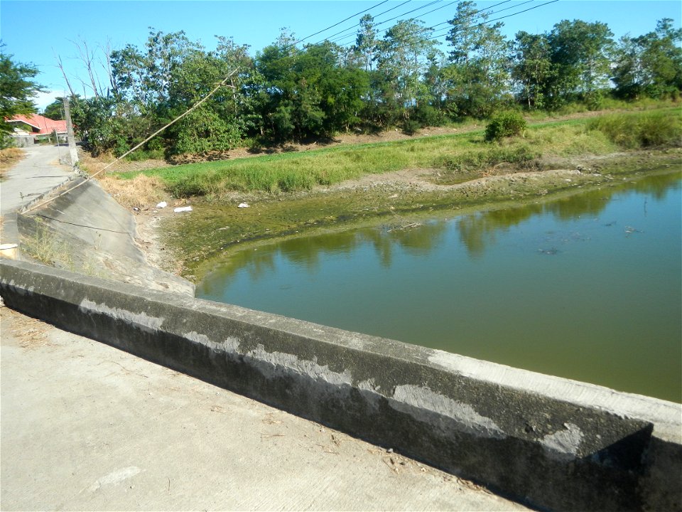 Paddy fields, grasslands, fishponds, irrigation canals, Kangkung (Ipomoea aquatica) and trees (Lapnit & Calasag, San Ildefonso, Bulacan Farm to Market Road) Villages and sitios of Calasag, San Ild