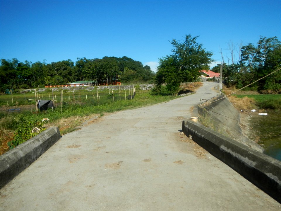 Paddy fields, grasslands, fishponds, irrigation canals, Kangkung (Ipomoea aquatica) and trees (Lapnit & Calasag, San Ildefonso, Bulacan Farm to Market Road) Villages and sitios of Calasag, San Ild
