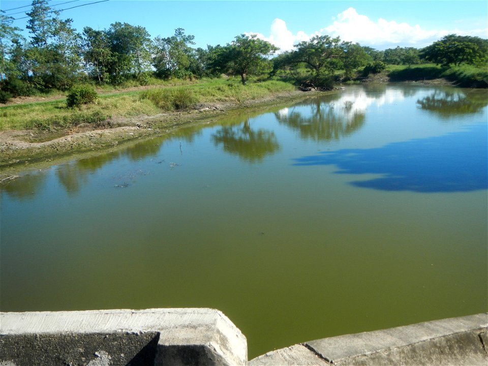 Paddy fields, grasslands, fishponds, irrigation canals, Kangkung (Ipomoea aquatica) and trees (Lapnit & Calasag, San Ildefonso, Bulacan Farm to Market Road) Villages and sitios of Calasag, San Ild