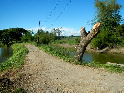 Paddy fields, grasslands, fishponds, irrigation canals, Kangkung (Ipomoea aquatica) and trees (Lapnit & Calasag, San Ildefonso, Bulacan Farm to Market Road) Villages and sitios of Calasag, San Ild