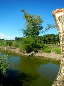 Paddy fields, grasslands, fishponds, irrigation canals, Kangkung (Ipomoea aquatica) and trees (Lapnit & Calasag, San Ildefonso, Bulacan Farm to Market Road) Villages and sitios of Calasag, San Ild