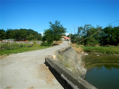 Paddy fields, grasslands, fishponds, irrigation canals, Kangkung (Ipomoea aquatica) and trees (Lapnit & Calasag, San Ildefonso, Bulacan Farm to Market Road) Villages and sitios of Calasag, San Ild