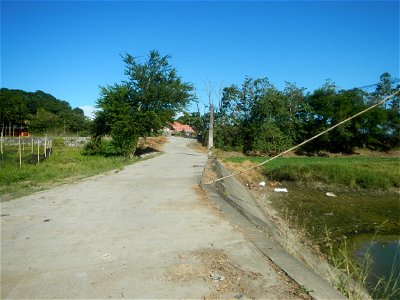 Paddy fields, grasslands, fishponds, irrigation canals, Kangkung (Ipomoea aquatica) and trees (Lapnit & Calasag, San Ildefonso, Bulacan Farm to Market Road) Villages and sitios of Calasag, San Ild