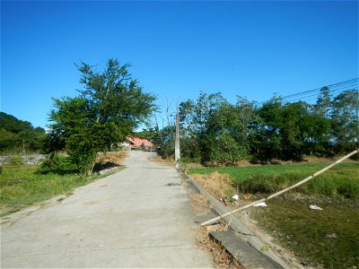 Paddy fields, grasslands, fishponds, irrigation canals, Kangkung (Ipomoea aquatica) and trees (Lapnit & Calasag, San Ildefonso, Bulacan Farm to Market Road) Villages and sitios of Calasag, San Ild