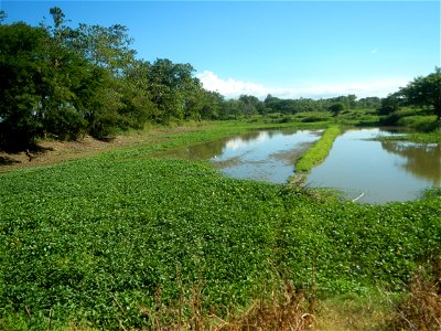 Paddy fields, grasslands, fishponds, irrigation canals, Kangkung (Ipomoea aquatica) and trees (Lapnit & Calasag, San Ildefonso, Bulacan Farm to Market Road) Villages and sitios of Calasag, San Ild
